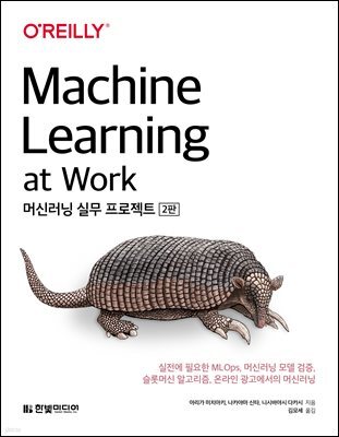 머신러닝 실무 프로젝트
