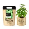 꿈쟁이 NEW 플라워백 (허브바질) 종이화분 생태화분 식물기르기
