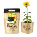 꿈쟁이 NEW 플라워백 (해바라기) 종이화분 생태화분 식물기르기