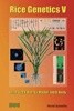 Rice Genetics V: Proceedings of the Fifth International Rice Genetics Symposium (쌀 유전학 V: 제5회 국제 쌀 유전학 심포지엄의 진행상황)