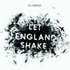 P.J Harvey (피제이 하비) - 8집 Let England Shake [LP]