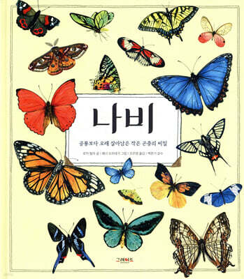 나비