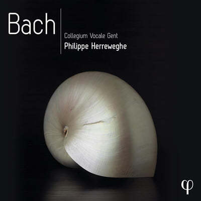 Philippe Herreweghe 필립 헤레베헤 - 바흐 녹음 박스 세트 (Bach - PHI-Recordings)