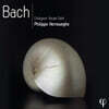 Philippe Herreweghe 필립 헤레베헤 - 바흐 녹음 박스 세트 (Bach - PHI-Recordings)