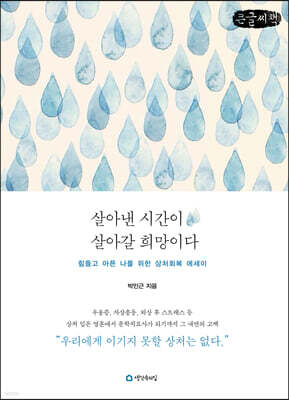 살아낸 시간이 살아갈 희망이다 (큰글씨책)