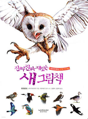 진짜 진짜 재밌는 새 그림책