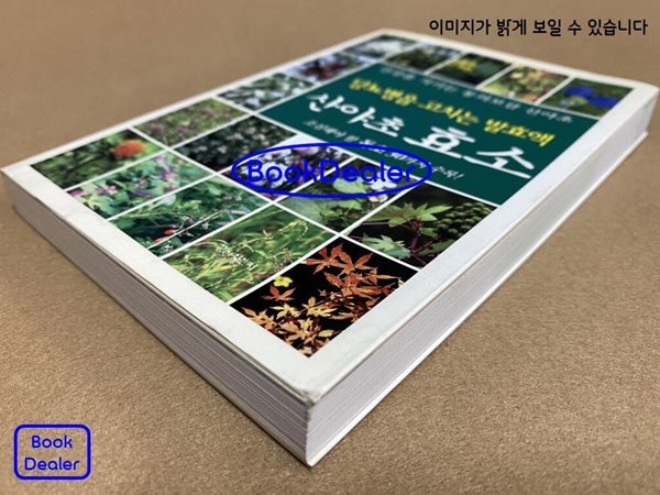 당뇨병을 고치는 발효액 : 산야초 효소