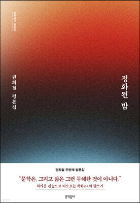 정화된 밤
