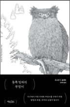 동쪽 빙하의 부엉이