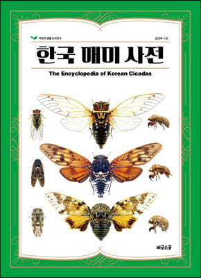 한국 매미 사전 