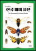 한국 매미 사전