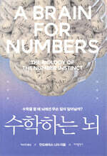 수학하는 뇌