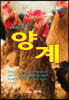 양계