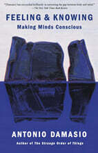 Feeling &amp; Knowing: Making Minds Conscious