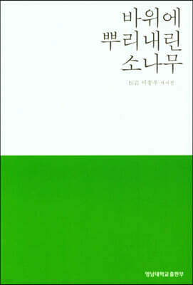 바위에 뿌리내린 소나무