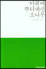 바위에 뿌리내린 소나무