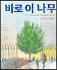 바로 이 나무