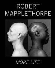 로버트 메이플소프 ROBERT MAPPLETHORPE