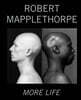로버트 메이플소프 ROBERT MAPPLETHORPE