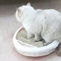 고양이 화장실 봉투 3롤 세트(79x45cm)고양이배변용품