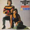 Sonny & Cher (소니 앤 셰어) - The Wondrous World Of Sonny & Cher [LP]