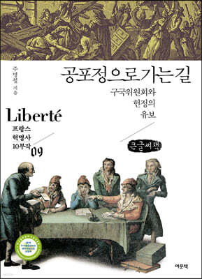 공포정으로 가는 길 (큰글씨책)
