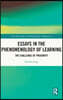 Essays in the Phenomenology of Learning