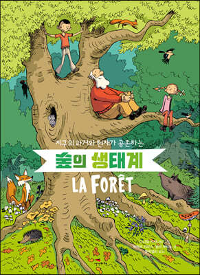 숲의 생태계
