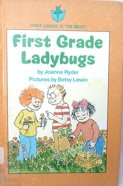 First Grade Ladybugs paperback