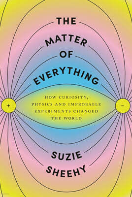 The Matter of Everything: How Curiosity, Physics, and Improbable Experiments Changed the World