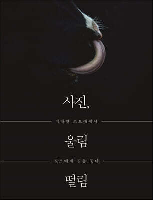 사진, 울림 떨림
