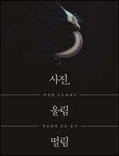 사진, 울림 떨림