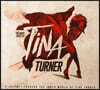 티나 터너 모음집 (Many Faces Of Tina Turner) [레드 컬러 2LP]