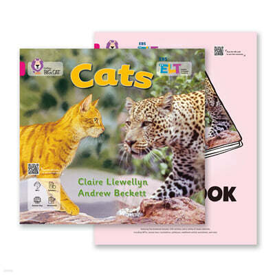 EBS ELT - Big Cat (Band 1) CATS