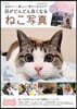 目がどんどん良くなるねこ寫眞 增補版