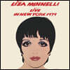 Liza Minnelli (라이자 미넬리) - Live in New York 1979 [레드 컬러 2LP]