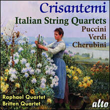 푸치니 / 케루비니 / 베르디: 현악 사중주 (Crisantemi: Italian String Quartets)