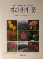 지리산의 꽃[양장/1995초판]