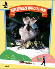 흰뺨검둥오리 가족 이사 작전