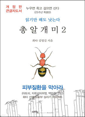 총알개미 2 (큰글자도서)