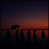 Slackers - Don't Let The Sunlight Fool Ya (LP)