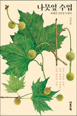 나뭇잎 수업