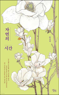 자연의 시간 (큰글자도서)