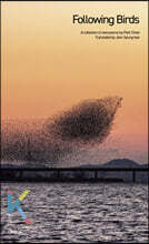 Following Birds