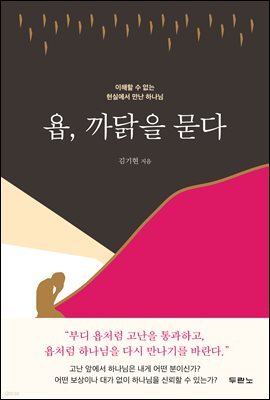 욥, 까닭을 묻다