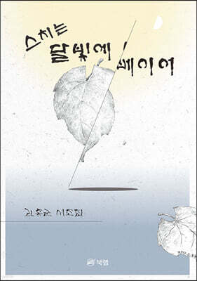 스치는 달빛에 베이어
