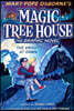 Magic Tree House Graphic Novel #2 : The Knight at Dawn