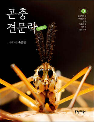 곤충 견문락 3