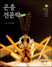 곤충 견문락 3
