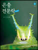 곤충 견문락 4